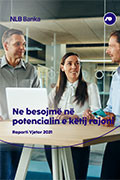 Raporti Vjetor 2021