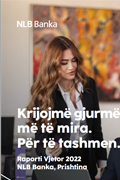 Raporti Vjetor 2022